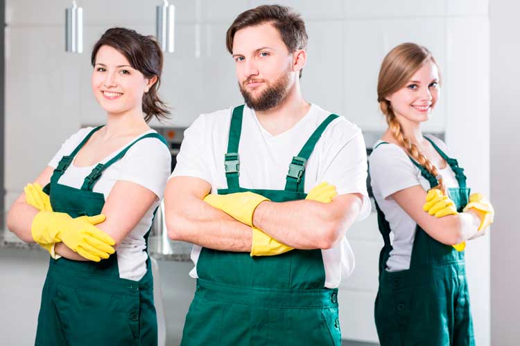 Mission Clean & Green